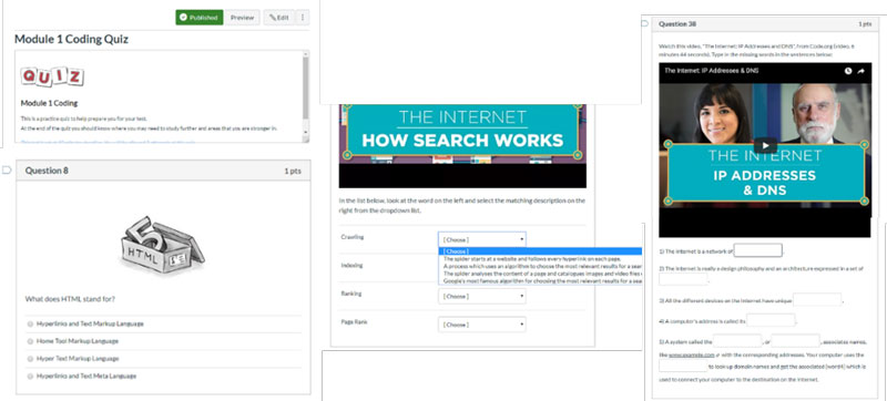 Screen of Canvas showing Module Coding Quiz
