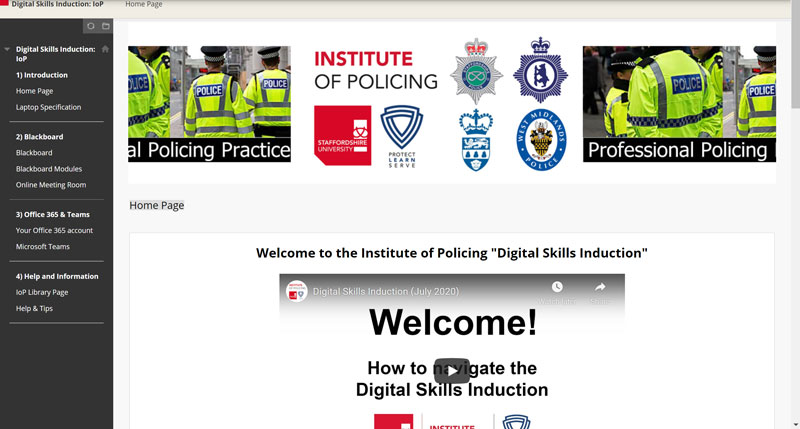 Screenshot of Digital Skills Induction Homepage
